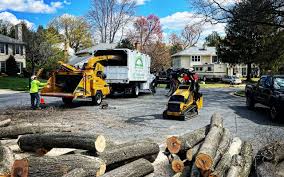 Seasonal Cleanup (Spring/Fall) in Lake Isabella, CA